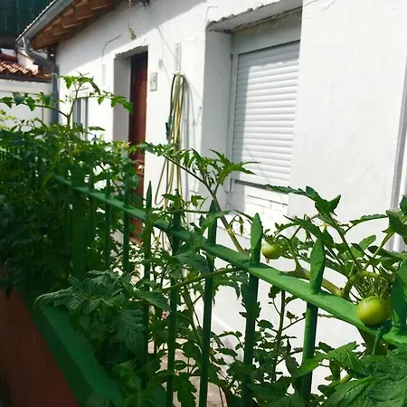 Apartamento Repuente * Santander